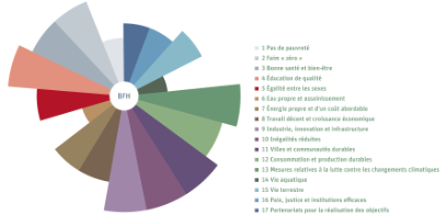 Le graphique montre combien de projets de la BFH contribuent à chacun des Objectifs de développement durable.