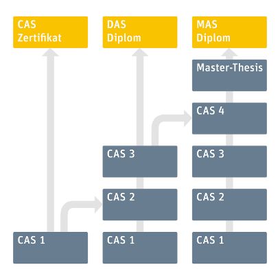 Grafik Studienablauf